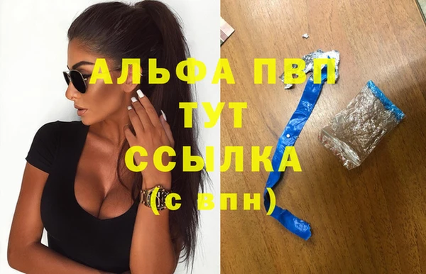 спиды Краснослободск