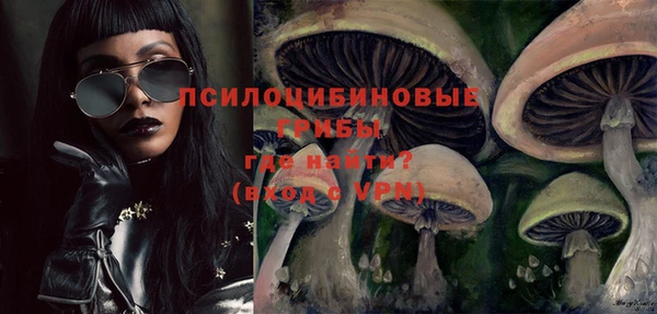 спиды Краснослободск