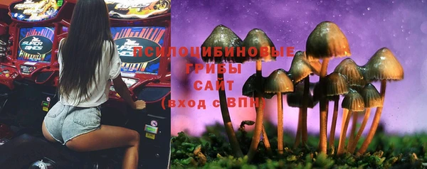 спиды Краснослободск