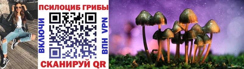 Галлюциногенные грибы Magic Shrooms Невинномысск