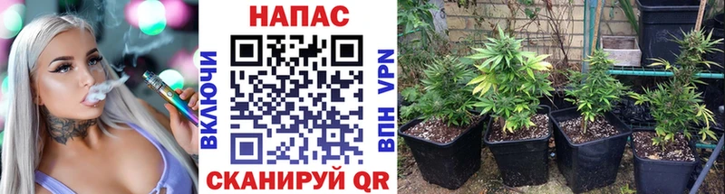 Канабис AK-47  купить   Невинномысск 